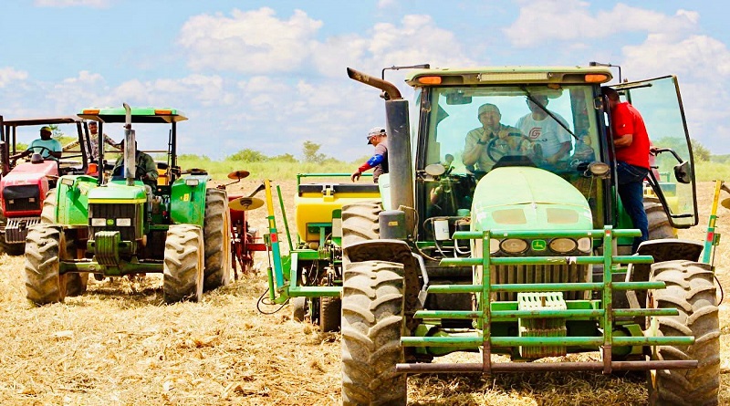 Gobierno guariqueño inicia siembra de leguminosas para el ciclo 2024-2025